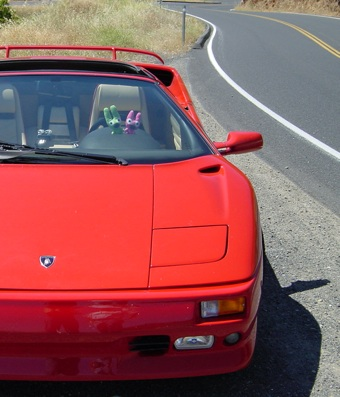 Illustration for article titled Doing Yosemite In A Lamborghini Diablo